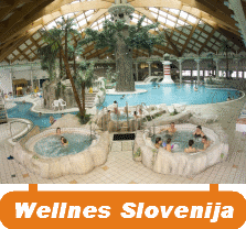 wellnes-slovenija.gif